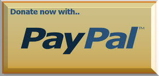 DonatPayPalButton copy